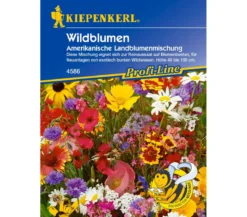 Kiepenkerl Saatgut Wildblumen Amerikanische Landblumenmischung