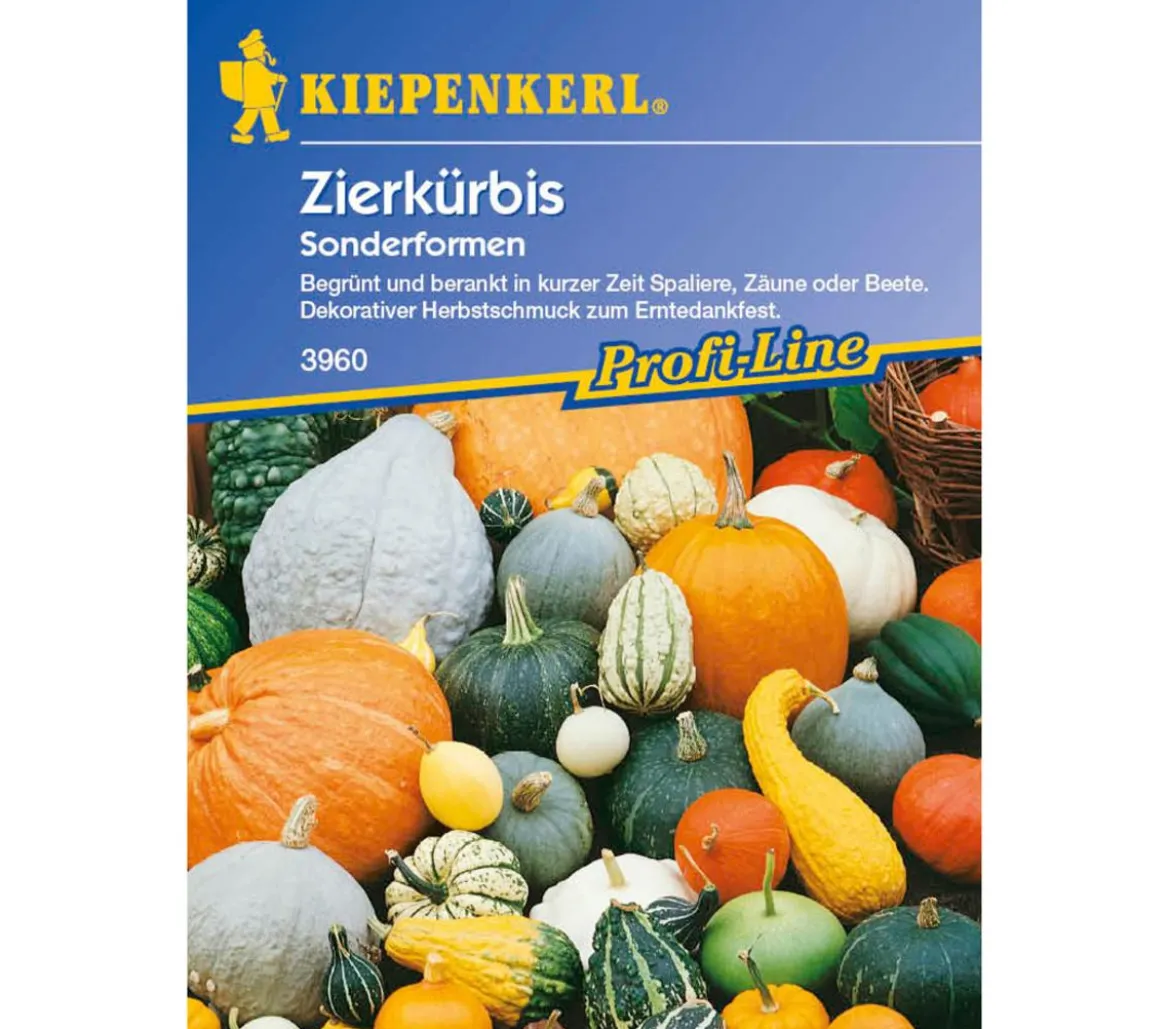 Kiepenkerl Saatgut Zierkürbis Sonderformen