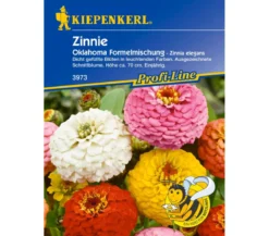 Kiepenkerl Saatgut Zinnie Oklahoma Mix