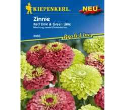 Kiepenkerl Saatgut Zinnie 'Red Lime Green'