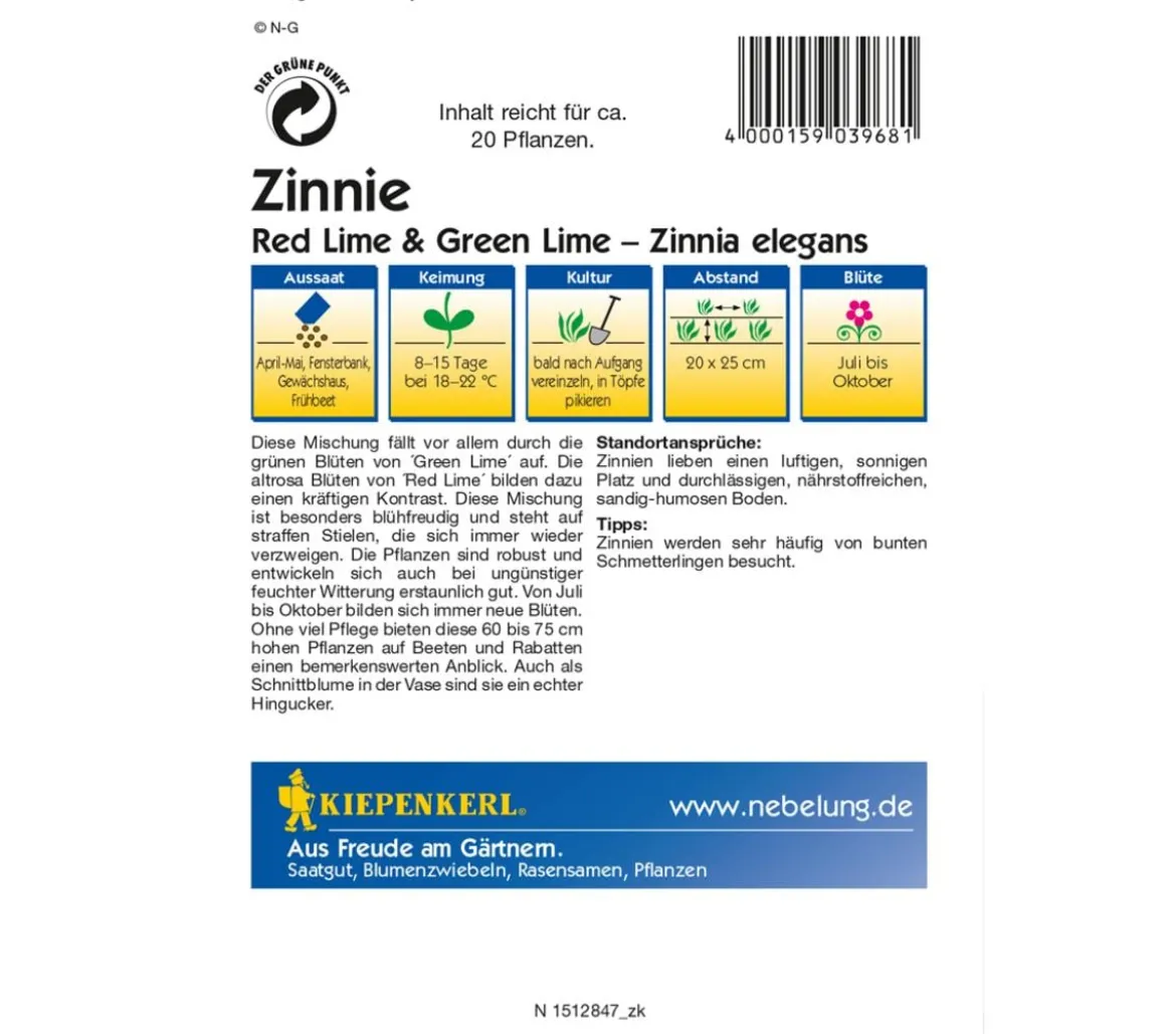 Kiepenkerl Saatgut Zinnie 'Red Lime Green'
