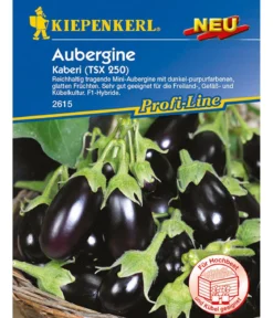 Kiepenkerl Samen Aubergine 'Kaberi'