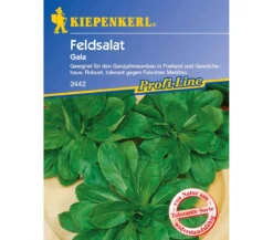 Kiepenkerl Samen Feldsalat 'Gala'