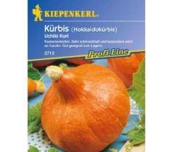 Kiepenkerl Samen Kürbis 'Uchiki Kuri'