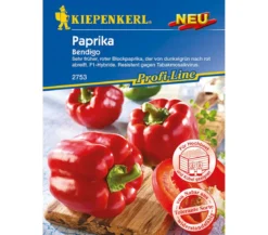 Kiepenkerl Samen Paprika 'Bendigo'
