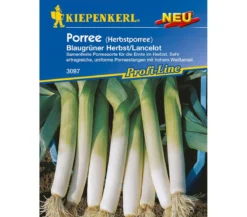 Kiepenkerl Samen Porree 'Blaugrüner Herbst'