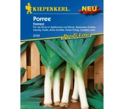 Kiepenkerl Samen Porree 'Forest'