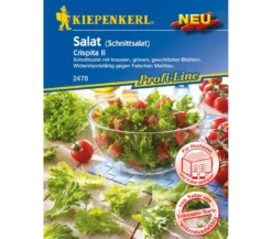 Kiepenkerl Samen Salat 'Crispita II'