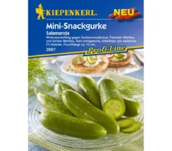 Kiepenkerl Samen Salatgurke 'Salamanda'