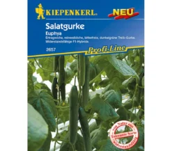 Kiepenkerl Samen Salatgurke 'Euphya'