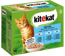 KITEKAT® Nassfutter für Katzen Multipack Fisch-Box in Gelee, Adult, 12 x 85 g