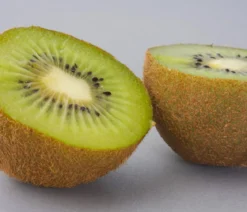 Kiwi 'Hayward', weiblich