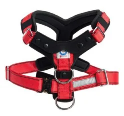 kleinmetall® Hundesicherheitsgurt Allsafe Comfort