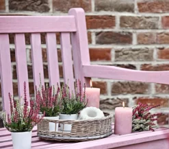 Knospenheide 'Mini-Twingirls®'