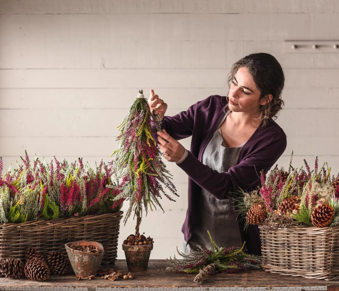Knospenheide 'Trio-Girls®'