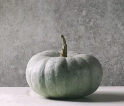 Kürbis 'Sweet Grey', ca. Ø15 cm