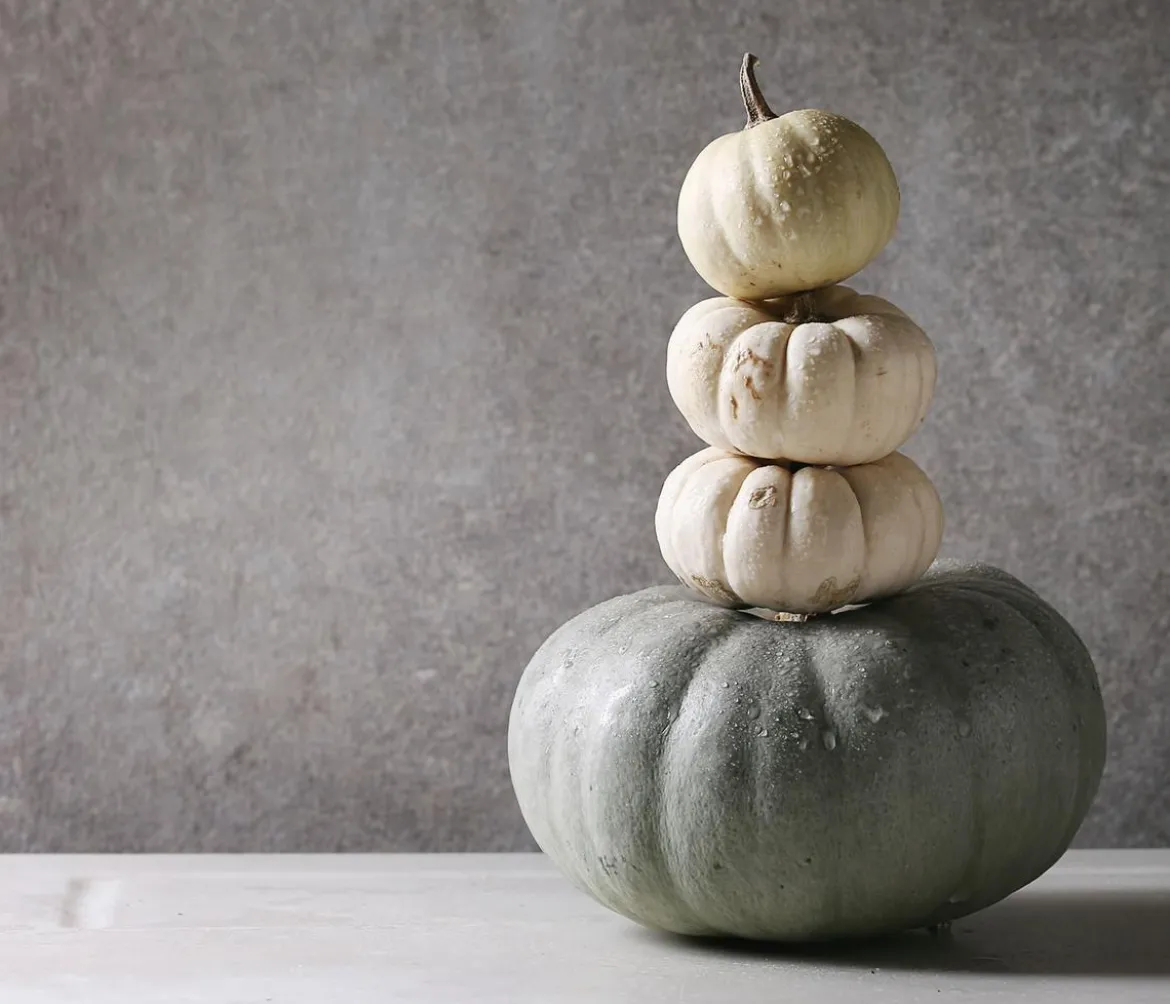 Kürbis 'Sweet Grey', ca. Ø15 cm