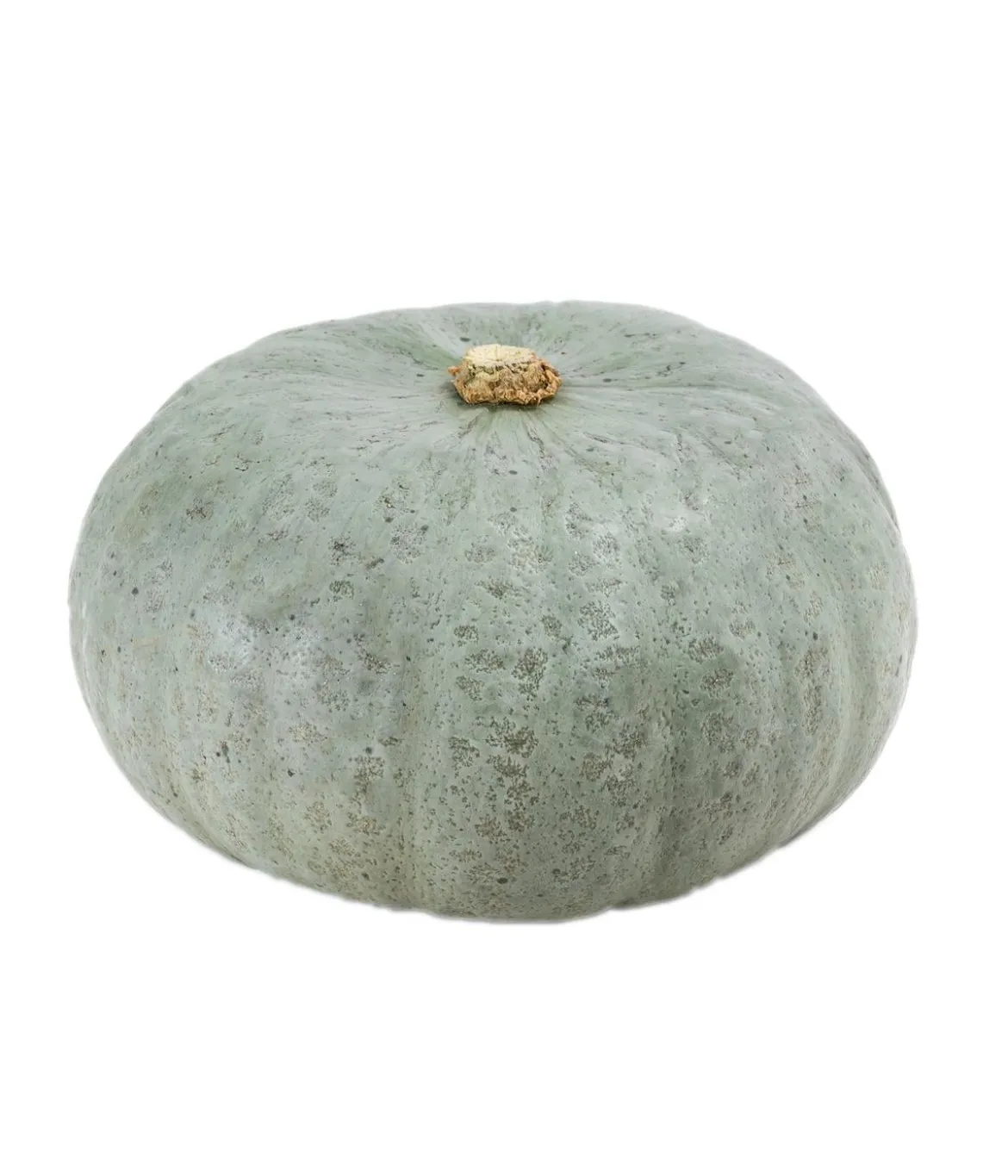 Kürbis 'Sweet Grey', ca. Ø15 cm