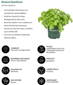 Kräuter-Set Küchenkräuter, 6-teilig
