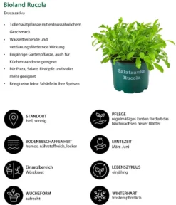 Kräuter-Set Küchenkräuter, 6-teilig