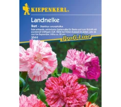 Landnelke Ikat, Saatgut von Kiepenkerl