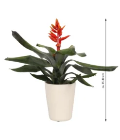 Lanzenrosette - Aechmea pepita 'Elegant Flames', in Keramik