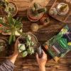 LECHUZA® CACTUSPON Pflanzsubstrat