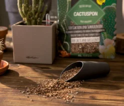LECHUZA® CACTUSPON Pflanzsubstrat