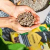 LECHUZA® CITRUSPON Spezialsubstrat