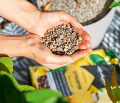 LECHUZA® CITRUSPON Spezialsubstrat
