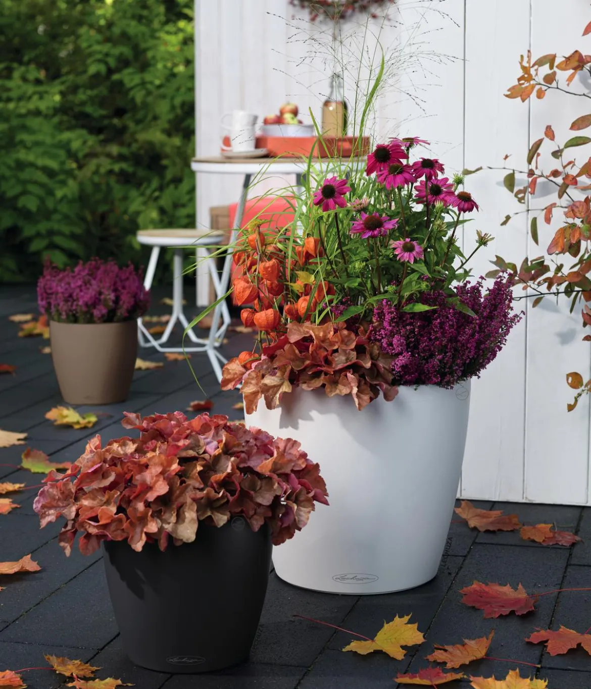 LECHUZA® CLASSICO Color, All-in-One-Set