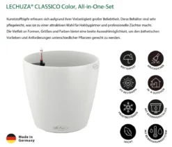 LECHUZA® CLASSICO Color, All-in-One-Set