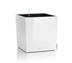 LECHUZA® CUBE, All-in-One Set
