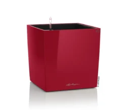 LECHUZA® CUBE, All-in-One Set