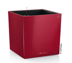 LECHUZA® CUBE, All-in-One Set
