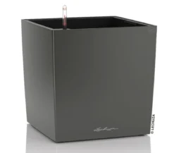 LECHUZA® CUBE, All-in-One Set