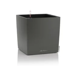 LECHUZA® CUBE, All-in-One Set