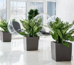 LECHUZA® CUBE, All-in-One Set