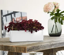 LECHUZA® CUBE Glossy Triple, All-in-One Set, 40 cm