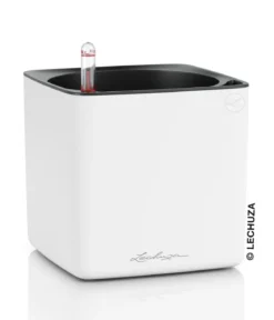 LECHUZA® CUBE Premium, All-in-One Set, matt