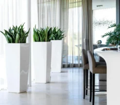 LECHUZA® CUBICO ALTO, All-in-One-Set, ca. B40/H105/T40 cm