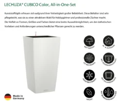 LECHUZA® CUBICO Color, All-in-One-Set