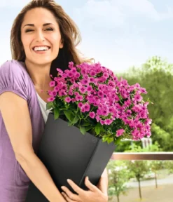 LECHUZA® CUBICO Color, All-in-One-Set
