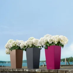 LECHUZA® CUBICO Color, All-in-One-Set