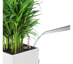 LECHUZA® CUBICO Color, All-in-One-Set