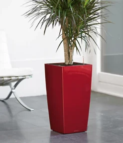 LECHUZA® CUBICO Premium, All-in-One-Set
