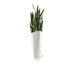 LECHUZA® DELTA, All-in-One-Set