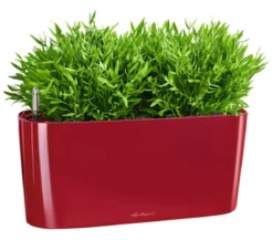 LECHUZA® DELTA, All-in-One-Set, hochglanz