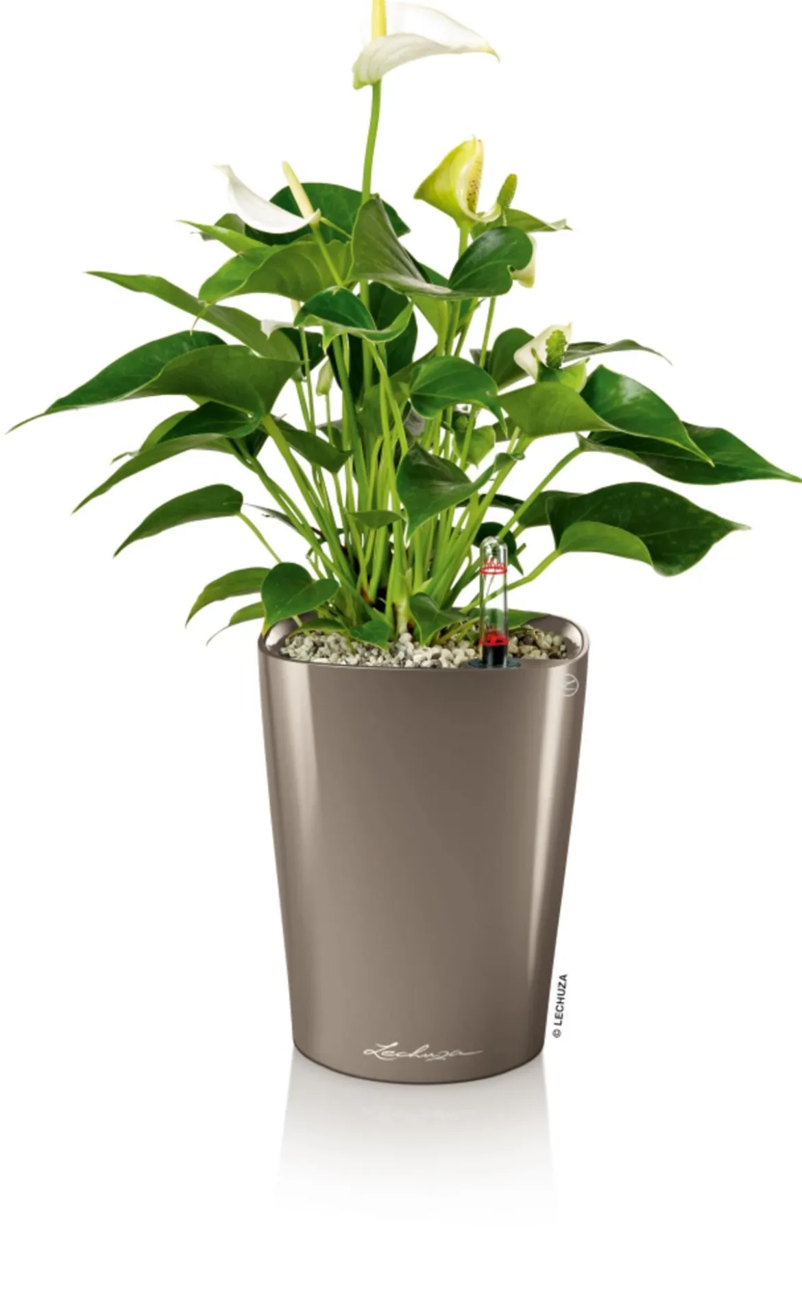 LECHUZA® DELTINI, All-in-One-Set, hochglanz