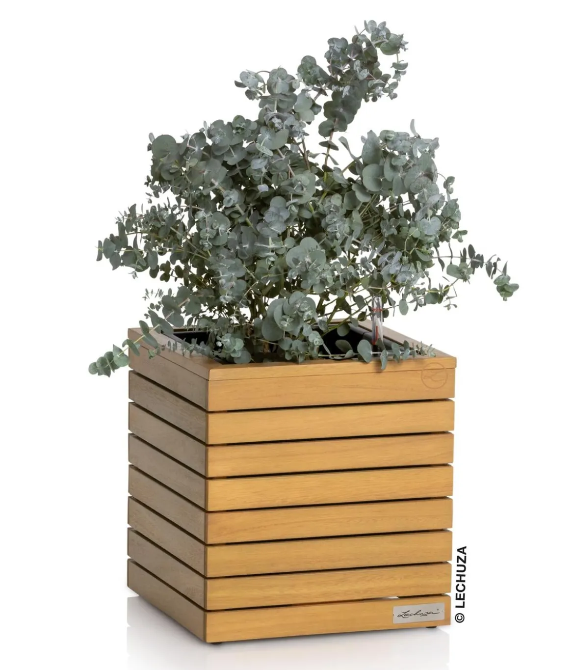 LECHUZA® Holz-Kasten PALO Natural Wood 35, quadratisch